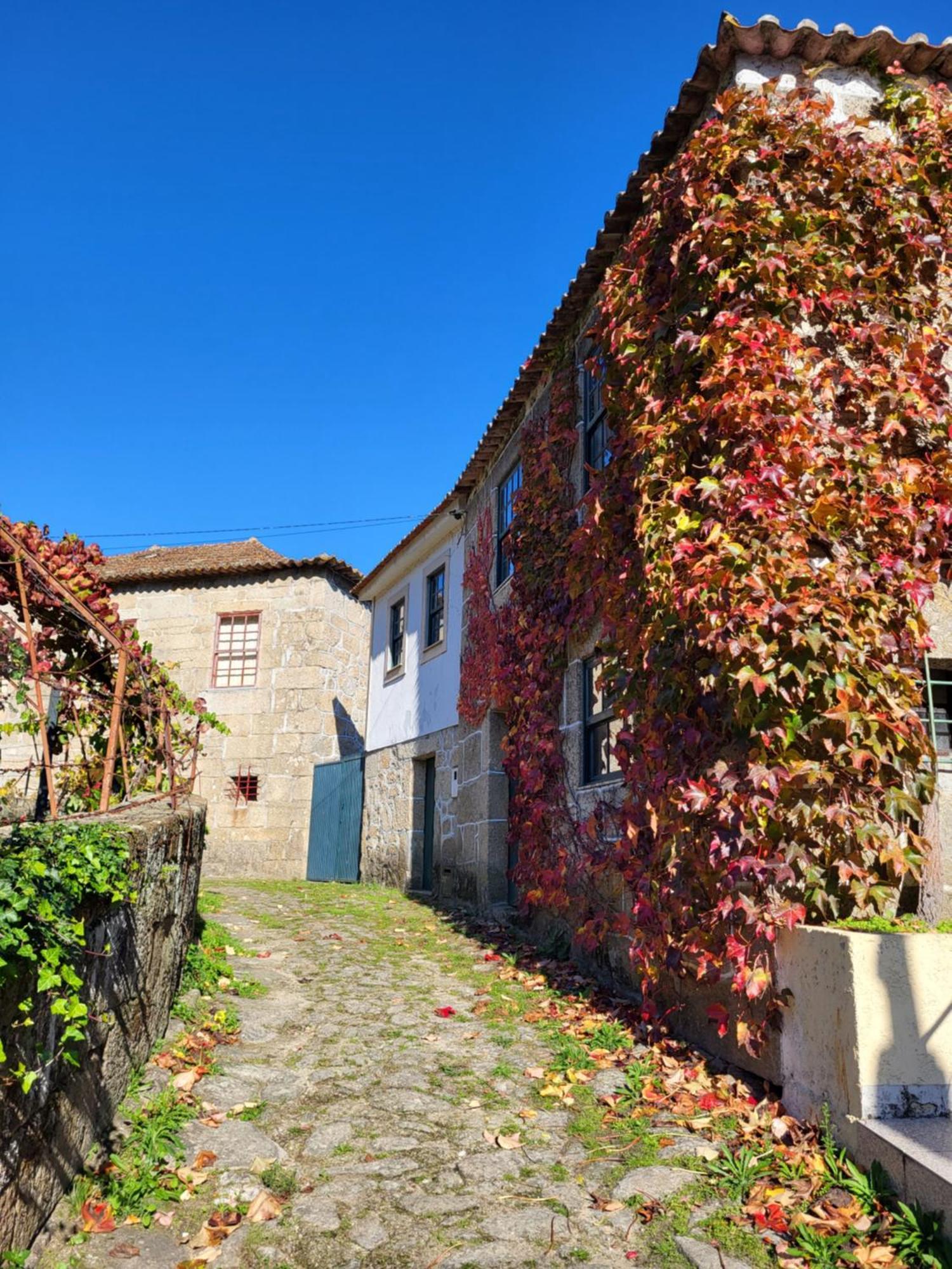 Appartamento Douro Studio Cinfães Esterno foto